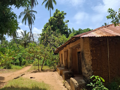 Safari Shwari Mafia Island-Utende必去景点