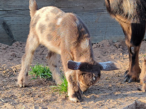 Diamond E Ranch-Nipomo必去景点