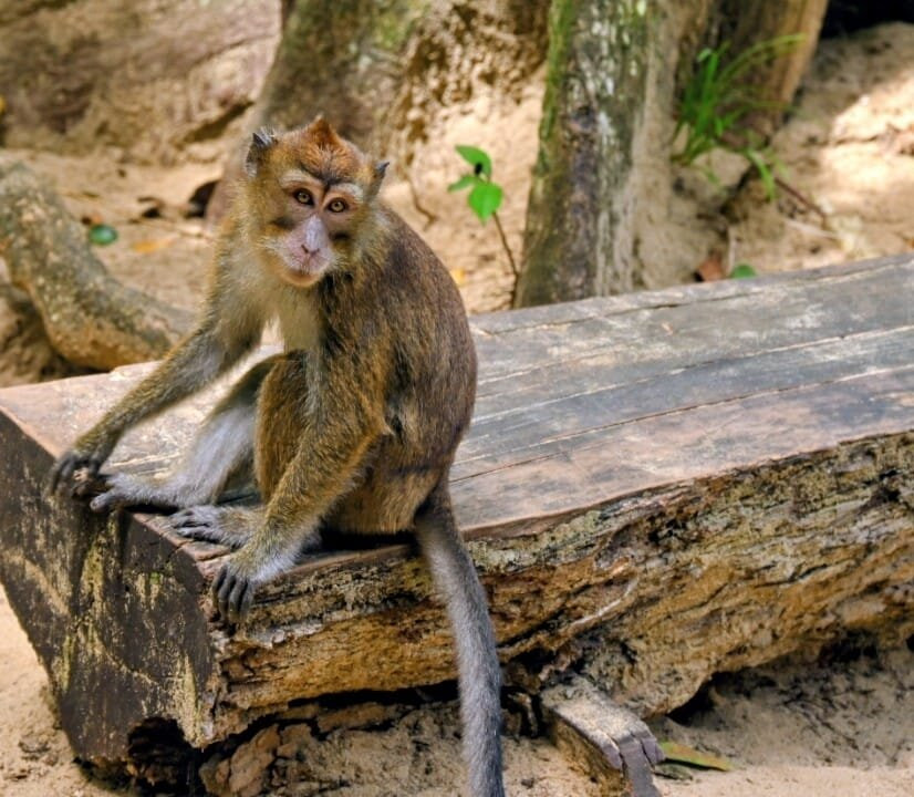 Corazon Travel and Tours-公主港必去景点