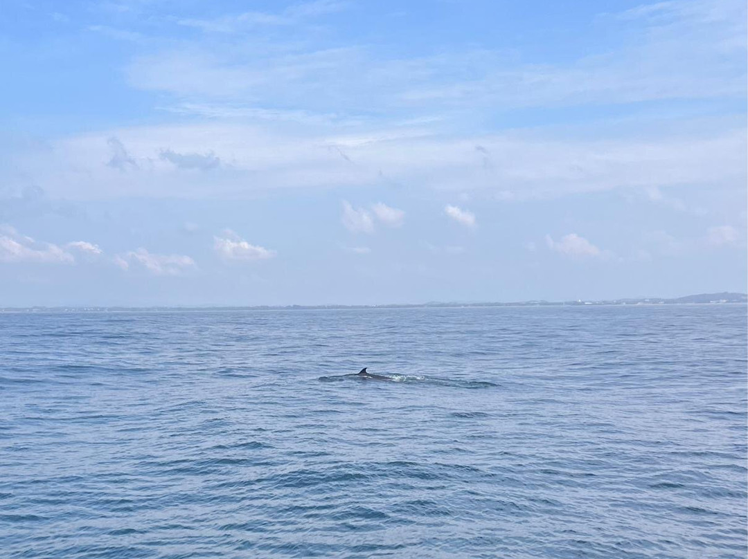 Nathalia Cruise-美蕊沙必去景点