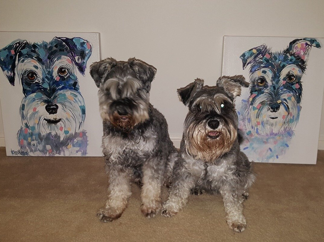 Tracey Keller Designs-Noosa Heads必去景点