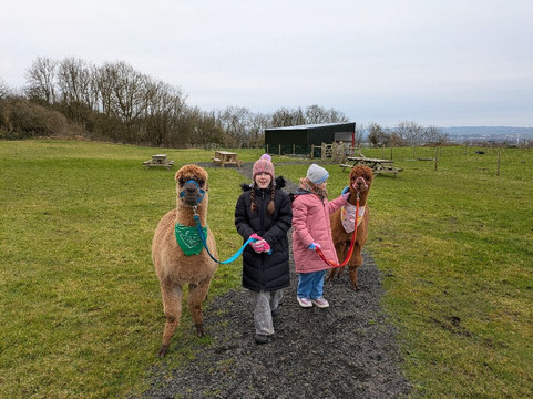 North Coast Alpacas-科尔雷恩必去景点