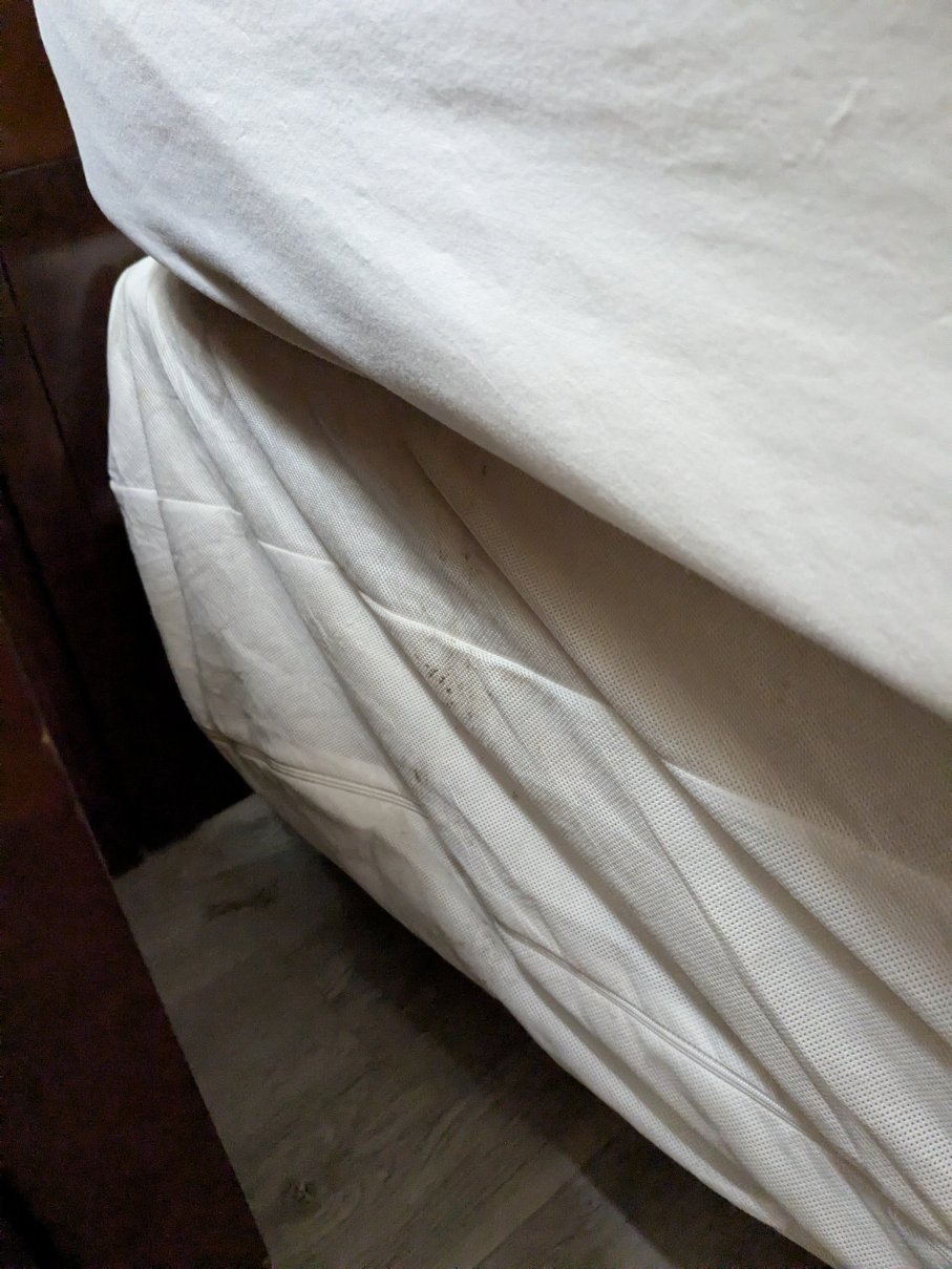 皇家旅馆酒店-官方