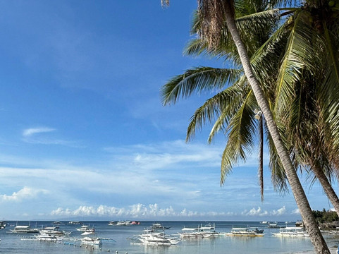 薄荷岛潜水俱乐部潜水中心-邦劳岛必去景点
