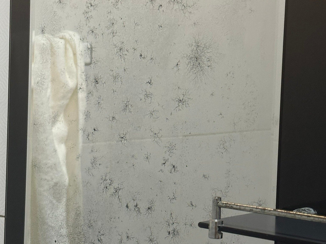 巨人的森林主图