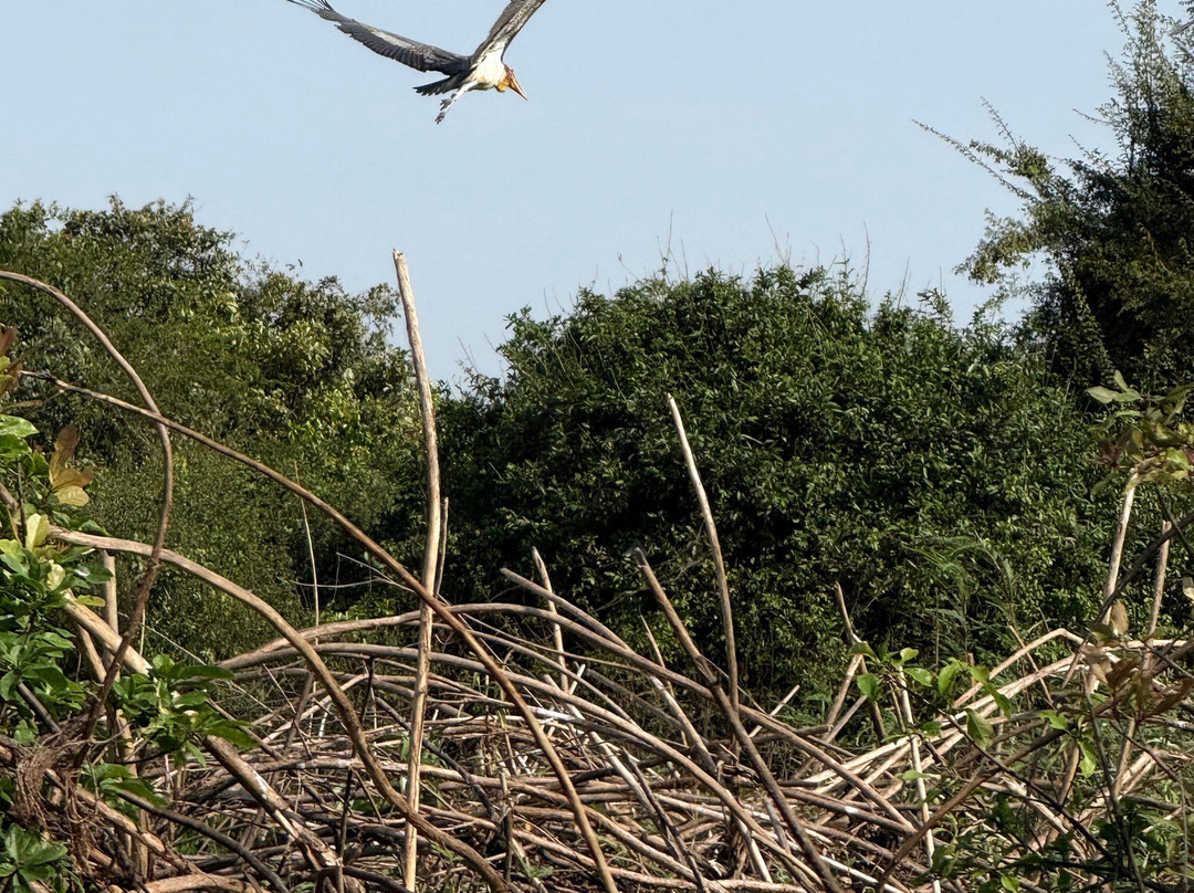 Prek Toal Tours & Travel-暹粒必去景点