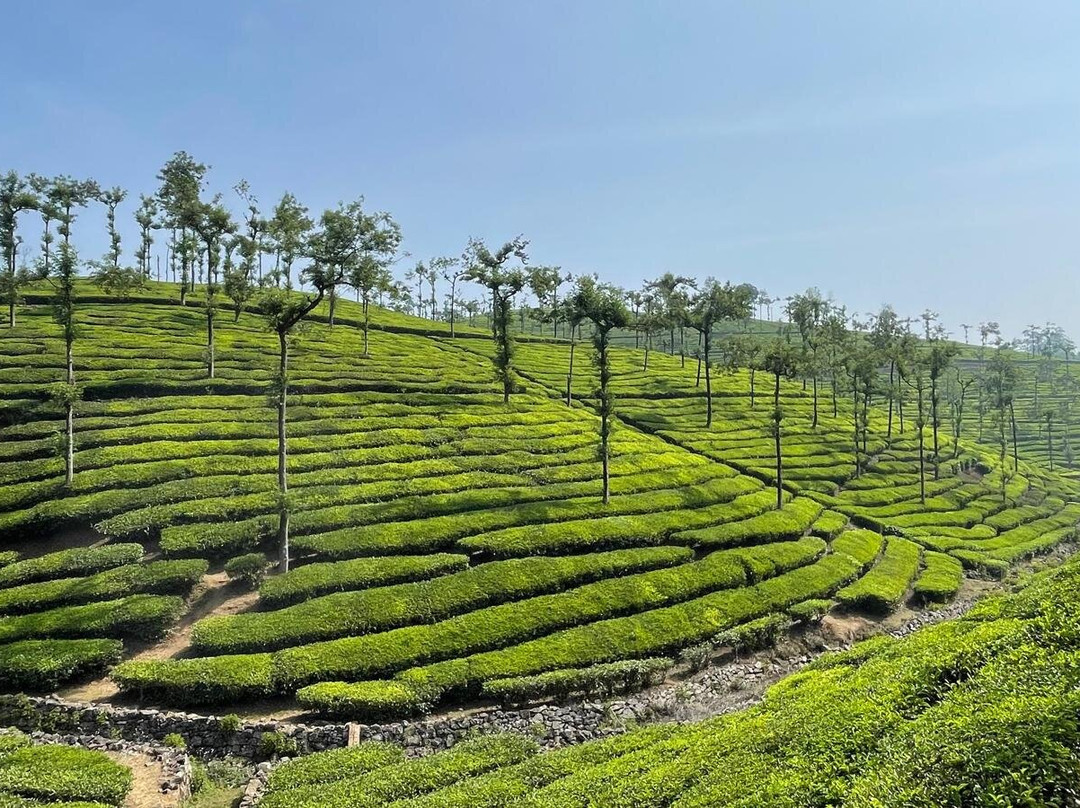 Lionheart Expeditions-默纳利必去景点