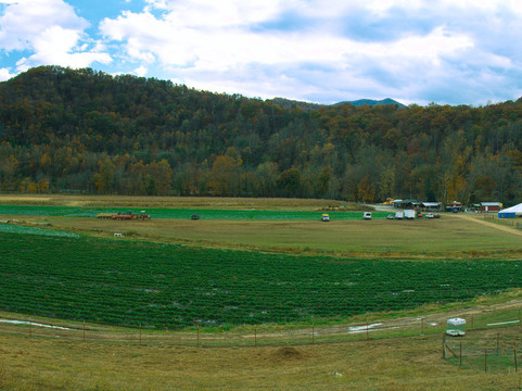 Darnell Farms-布赖森城必去景点