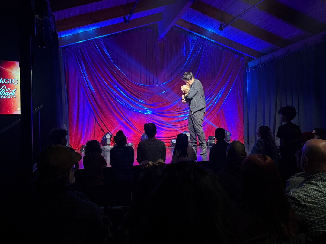 Jason Bishop Straight Up Magic-坦纳斯维尔必去景点