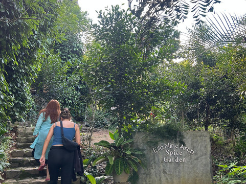 Ella Nine Arch Spice Garden-埃勒必去景点