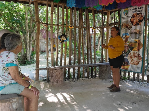 Bee Friendly Conservation Park-考祖梅必去景点