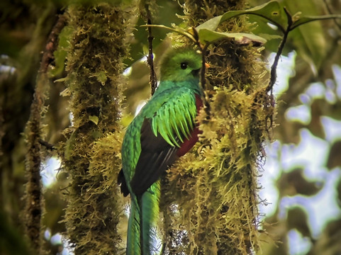 My Costa Rica-圣何塞必去景点