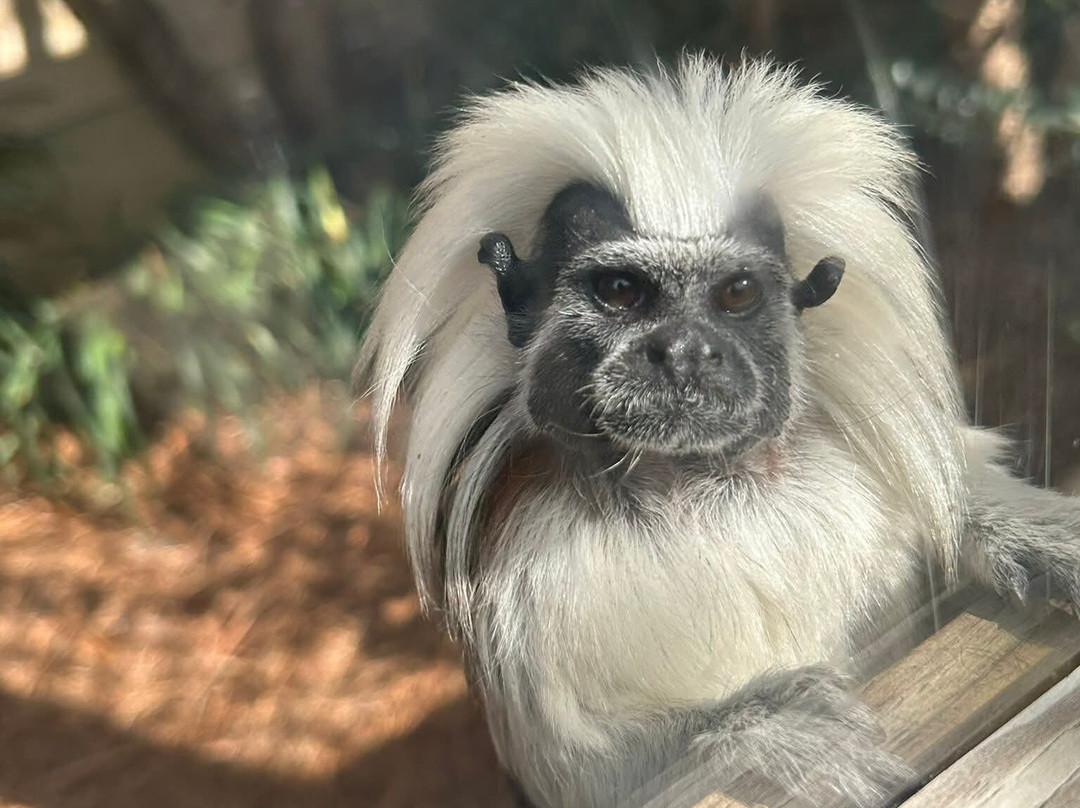 North Florida Wildlife Center-Lamont必去景点