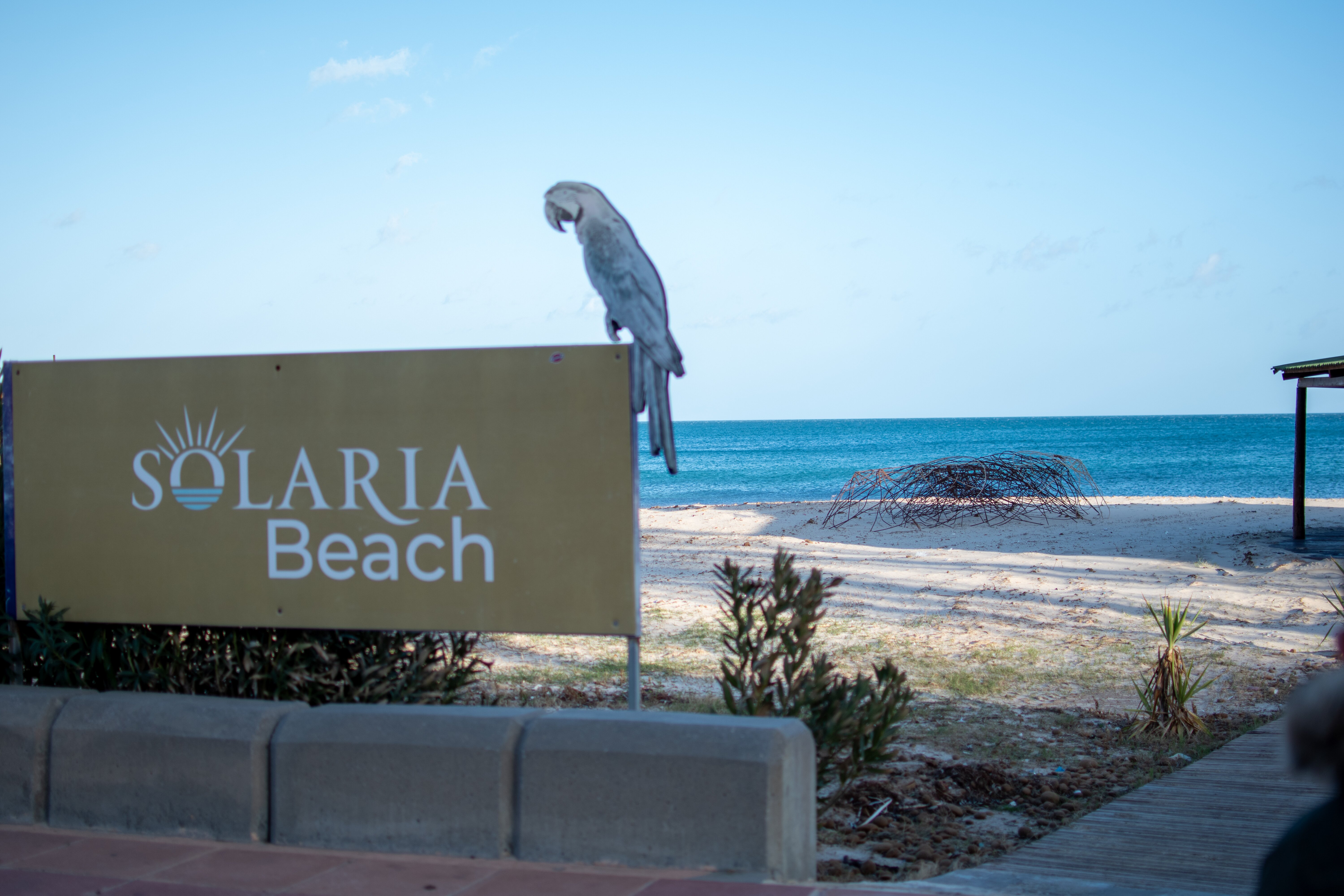 麦地那日光浴及海水浴酒店-泳池