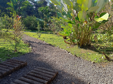 色乐斯特之星芬卡酒店主图