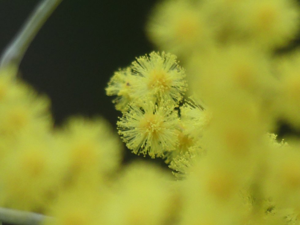 乌尔德斯雷亚勒斯酒店-浴室