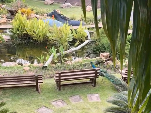 Aqua Safari Resort主图