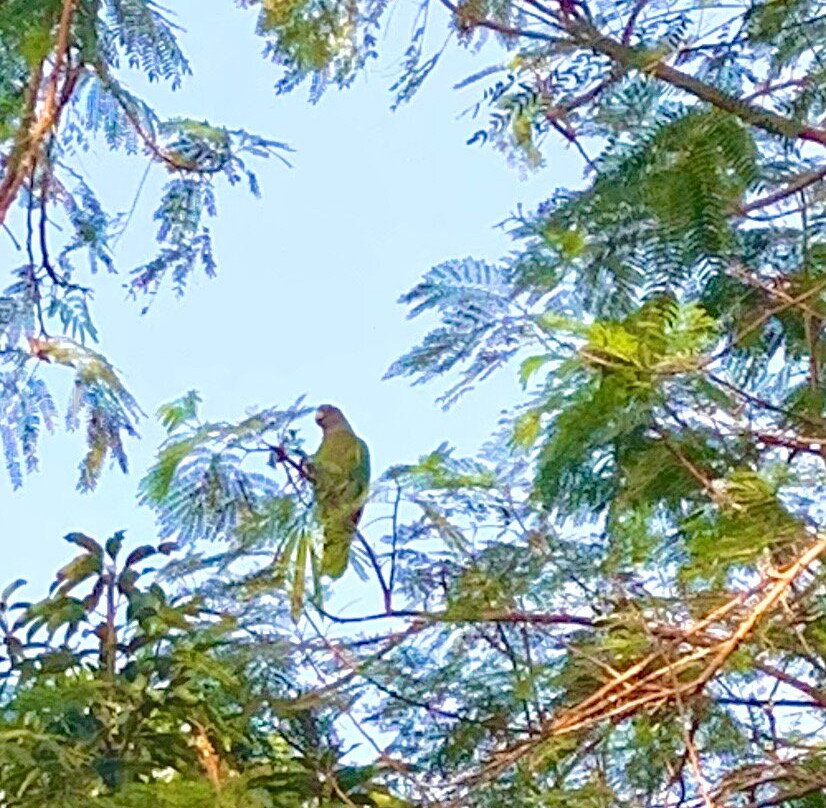 Untouchable Tours-Calibishie必去景点