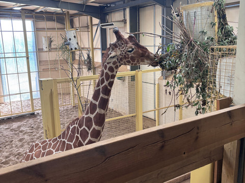 Bristol Zoo Project-Easter Compton必去景点