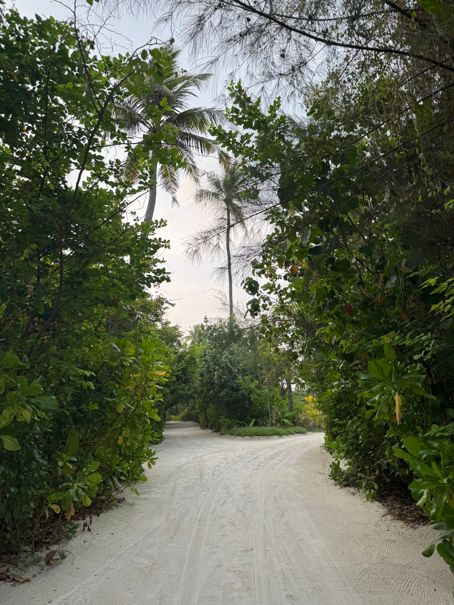 Joy Island Maldives by Cocoon Collection-浴室