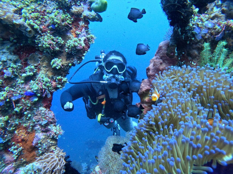 Bali Dive Cove-艾湄湾必去景点