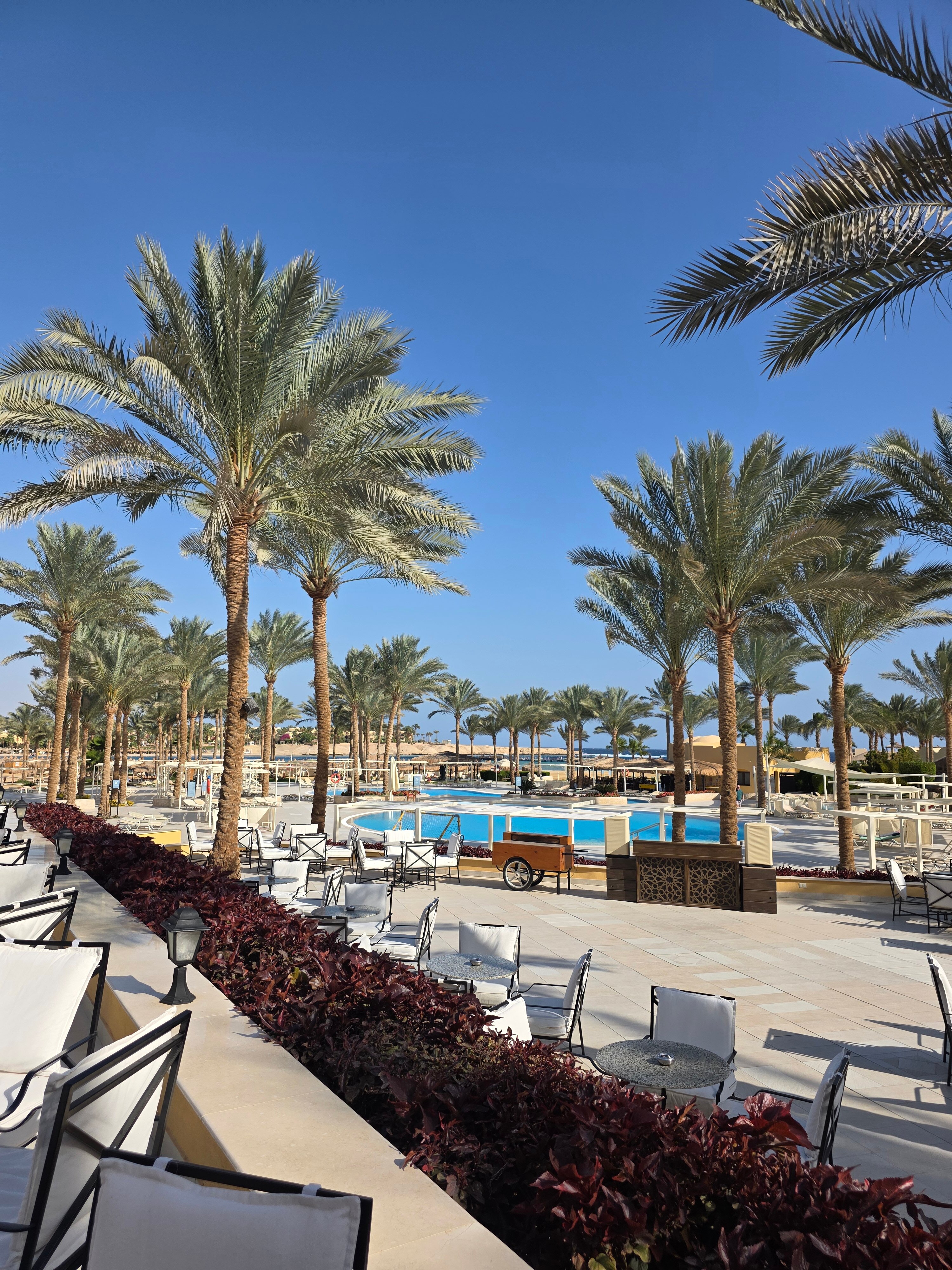 贾兹索拉亚-泳池