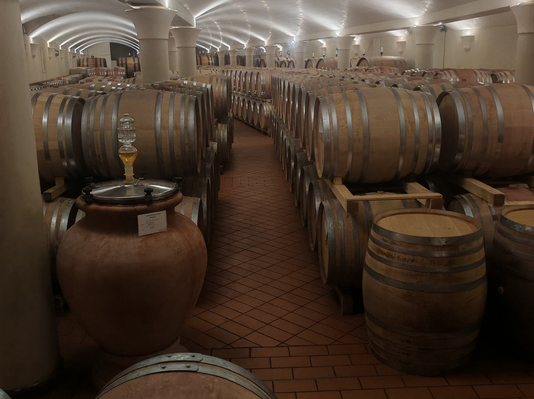 Tenuta di Nozzole-格雷韦伊恩基亚恩蒂必去景点