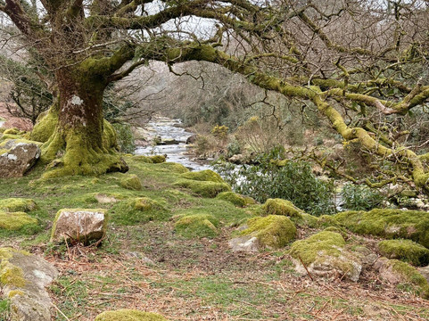 Avon Dam-South Brent必去景点