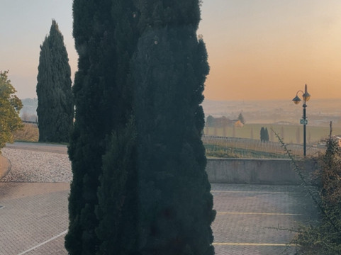 阿斯托里亚PHI酒店主图