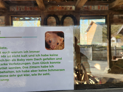 Otter-Zentrum Hankensbüttel-Hankensbuettel必去景点