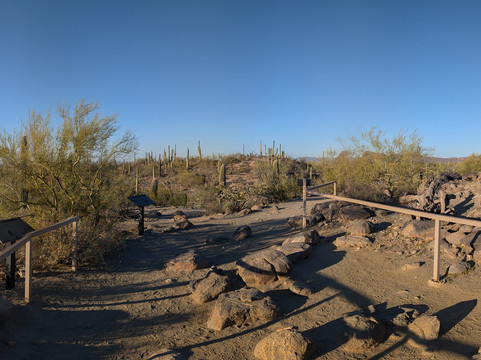Saguaro National Park-图森必去景点