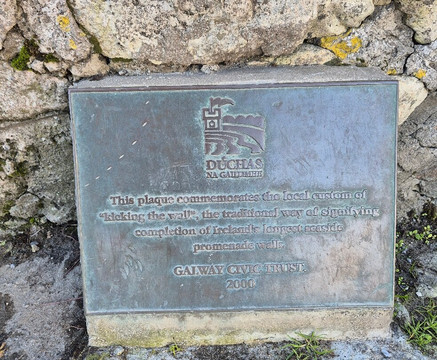 索尔特希尔散步大道-戈尔韦必去景点