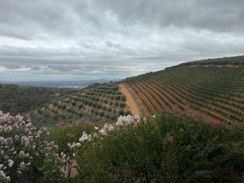 Wild Things Africa-开普敦中心区必去景点