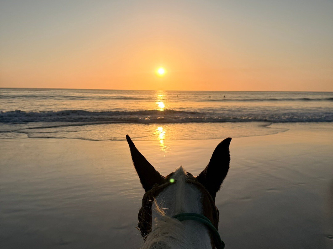 Guti Tours-Playa Avellanas必去景点