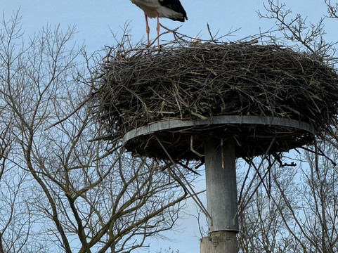 圣波尔旅馆主图