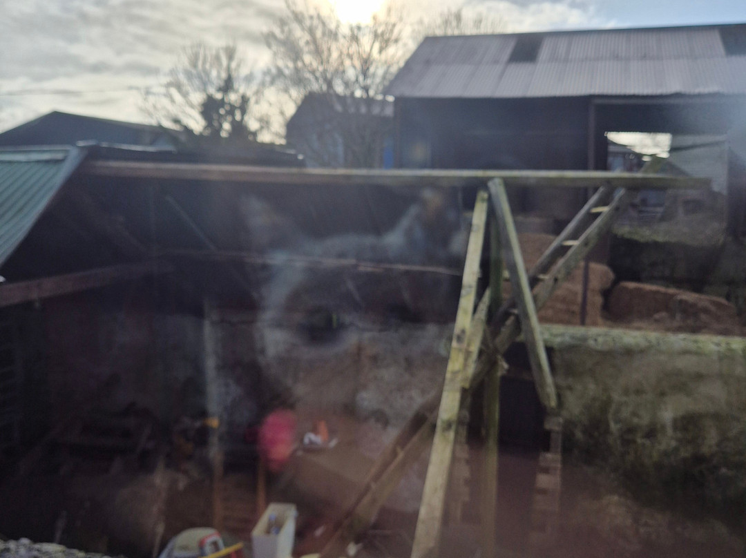 Pattacott Farm Camping & Glamping