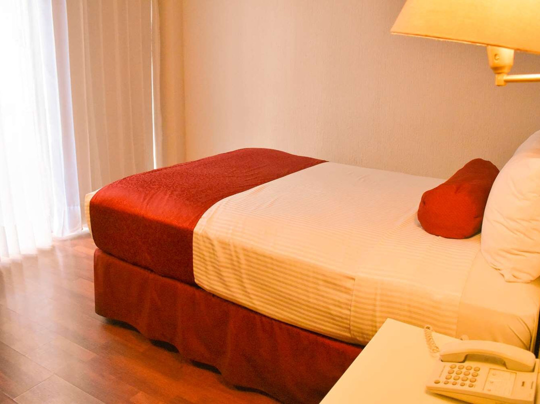Culiacan Municipality酒店住宿-Hotel San Marcos