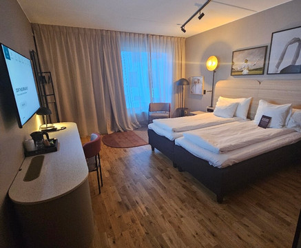 斯堪的纳基鲁纳主图