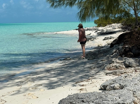 Eleuthera Tours-伊柳塞拉必去景点