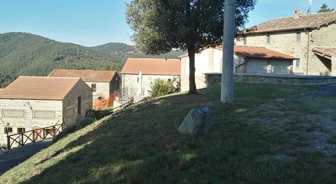 维丹特旅馆主图