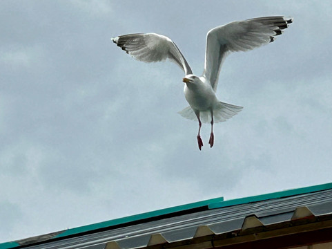 Zandvoort Aan Zee-赞德沃特必去景点