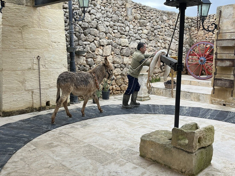 Tax-xierfa Museum-拉巴特必去景点