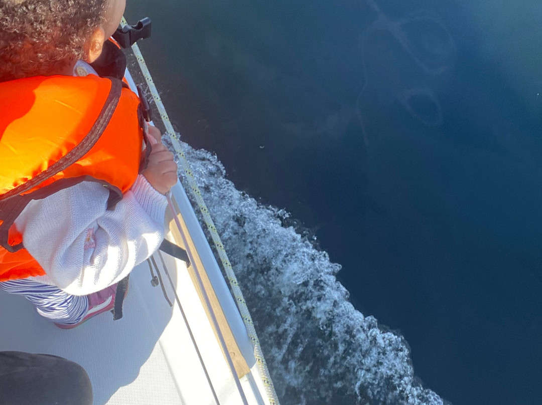 Lakeland Adventures-波尼斯-温德米尔必去景点