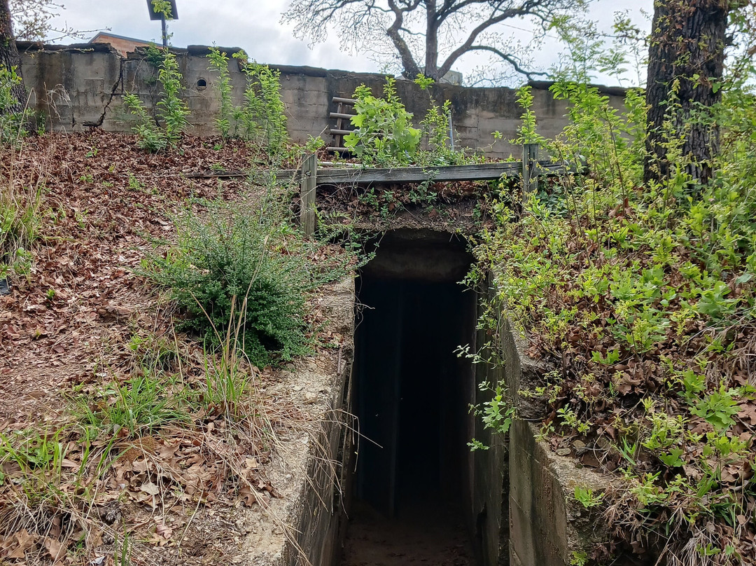 Top O' Hill Terrace-阿灵顿必去景点