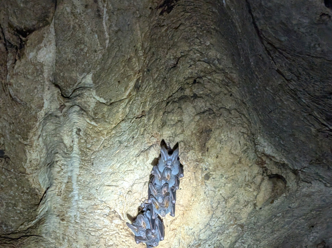 Monkey Cave Lombok-Pujut必去景点