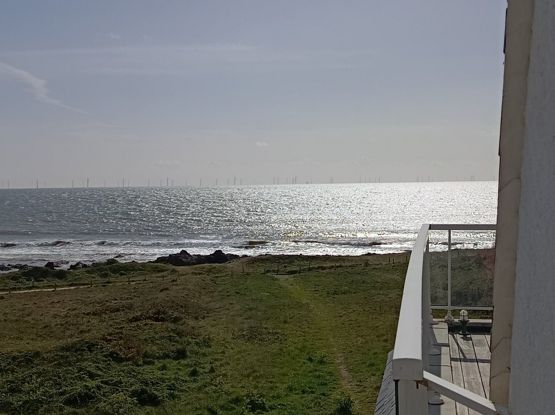 青苔海洋酒店主图