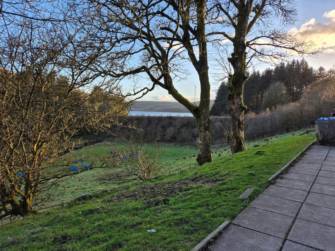 Parkwood Outdoors Dolygaer-梅瑟蒂德菲尔必去景点