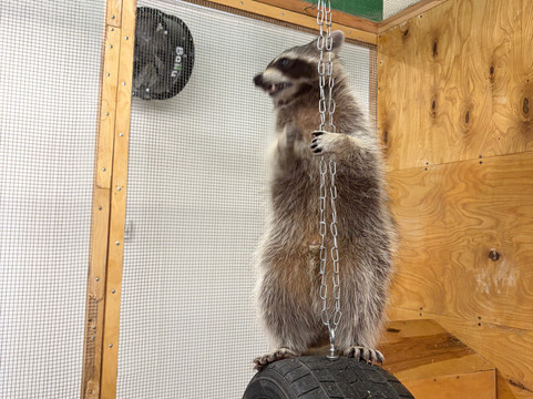 Strana Enotiya-克拉斯诺亚尔斯克必去景点