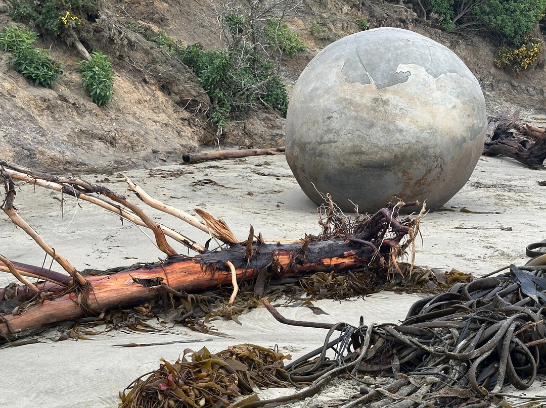 Moeraki Boulders-摩拉基必去景点