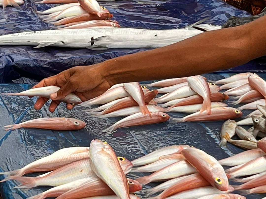 Madagascar Stunning Tour-Hell-Ville必去景点